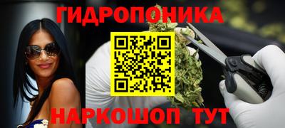 амф Дубна