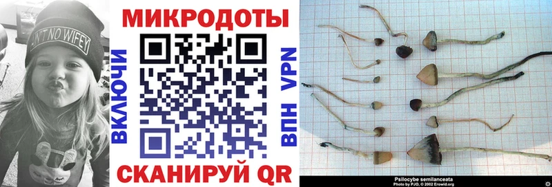 что такое   Кольчугино  Галлюциногенные грибы прущие грибы 
