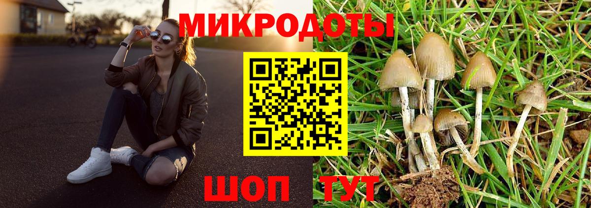 Кольчугино  Псилоцибиновые грибы GOLDEN TEACHER  Галлюциногенные грибы Magic Shrooms  Вход с VPN 