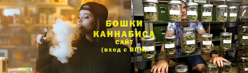 Конопля OG Kush  Кольчугино 